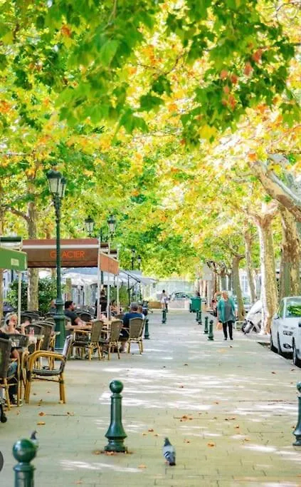 Le Milan-Allees Provencales-Wifi Montelimar 0*,  France